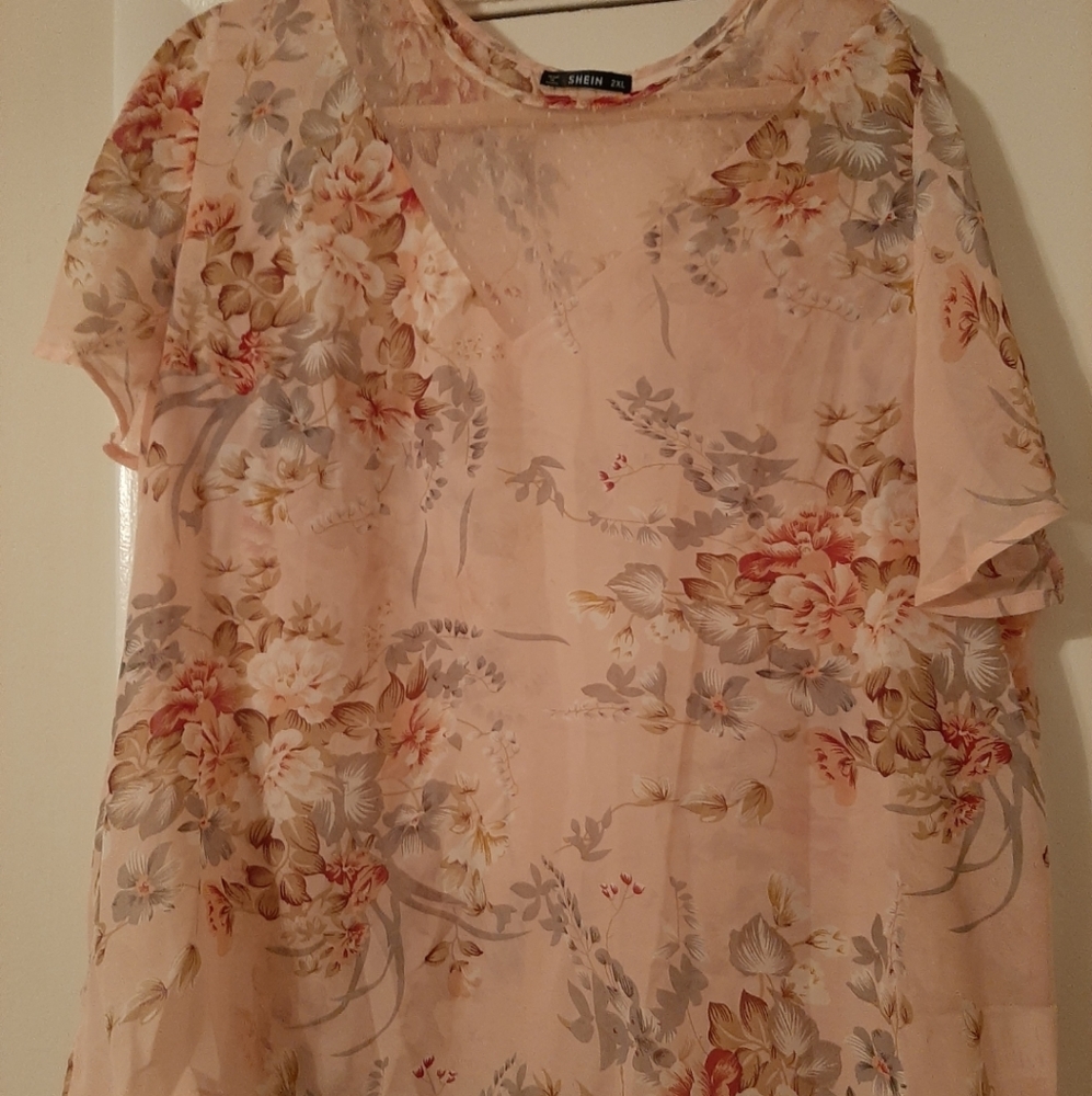 Floral Pink Sheer Illusion V Neck top